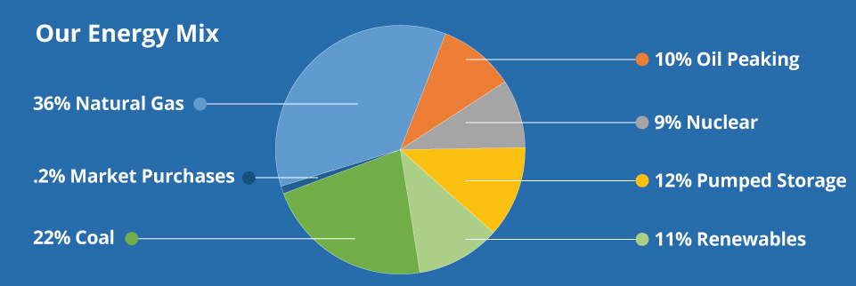 Our Energy Mix Consumers Energy
